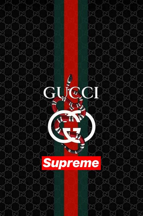 supreme gucci best wallpaper|supreme gucci wallpapers.